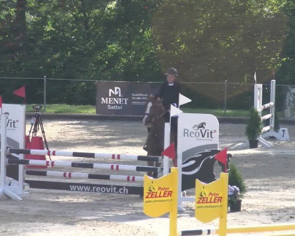 Reitturnier Maienfeld 2025