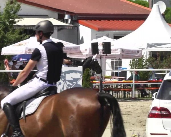Großes Langenauer Reitturnier 2014