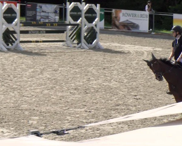 Reitturnier Maienfeld 2025