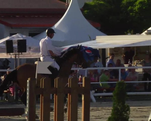 Großes Langenauer Reitturnier 2014