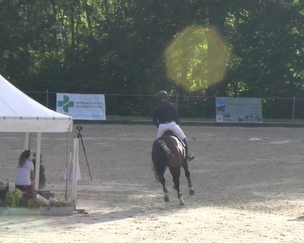 Reitturnier Maienfeld 2025