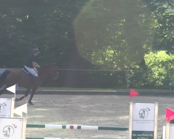 Reitturnier Maienfeld 2025