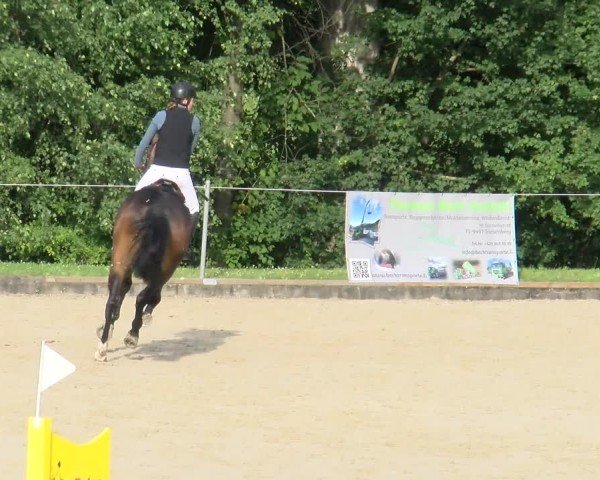 Reitturnier Maienfeld 2025