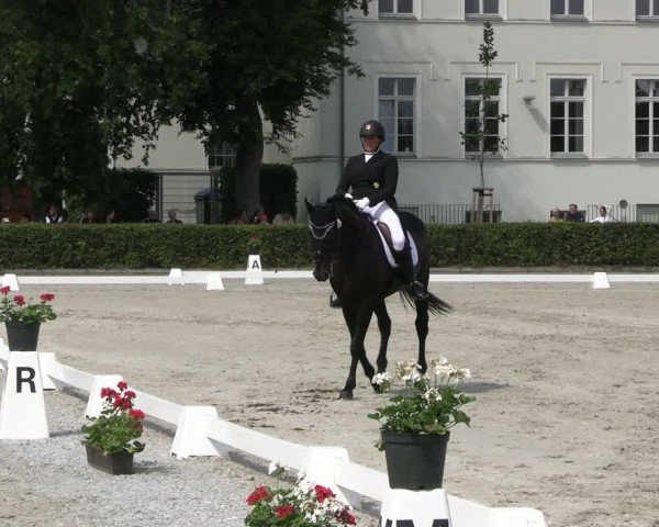 Reitturnier Neustadt/Dosse 2025