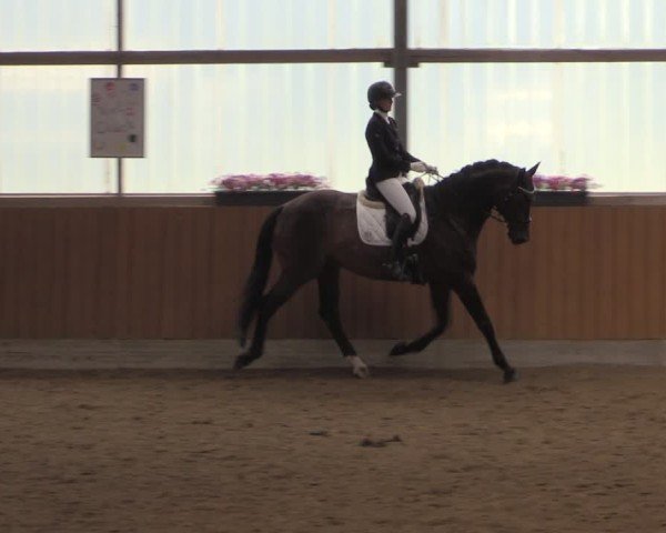 Reitturnier Herbern 2025