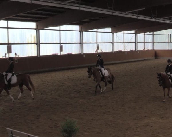 Reitturnier Herbern 2025