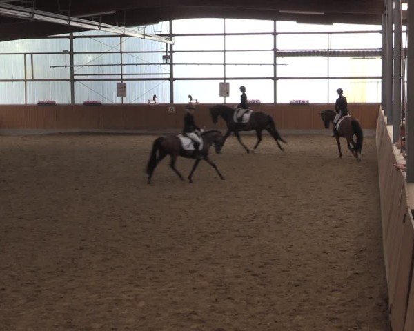 Reitturnier Herbern 2025