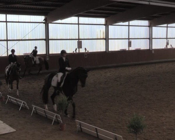 Reitturnier Herbern 2025