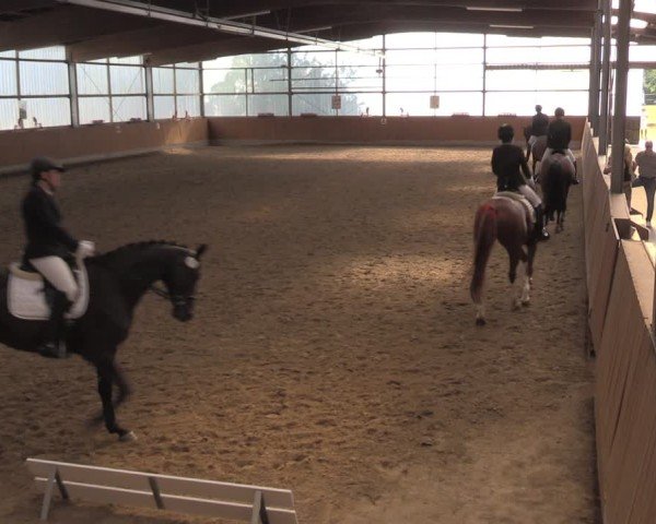 Reitturnier Herbern 2025