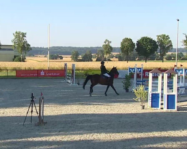 Reitturnier Rot am See- Musdorf 2025