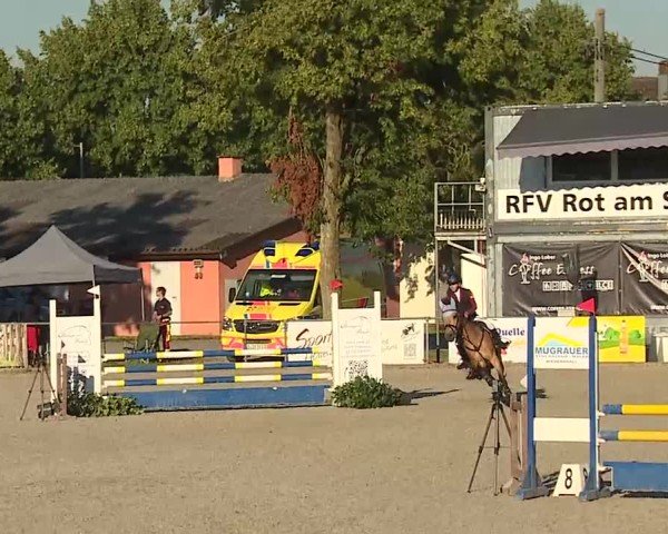 Reitturnier Rot am See- Musdorf 2025