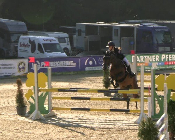 Reitturnier Bad Liebenstein/Sorga 2025