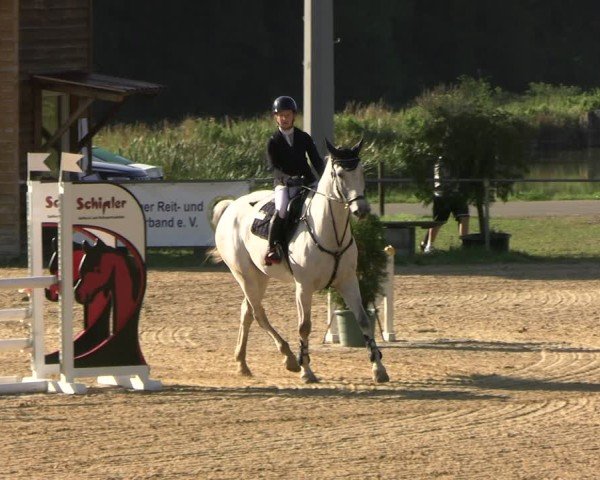 Reitturnier Bad Liebenstein/Sorga 2025