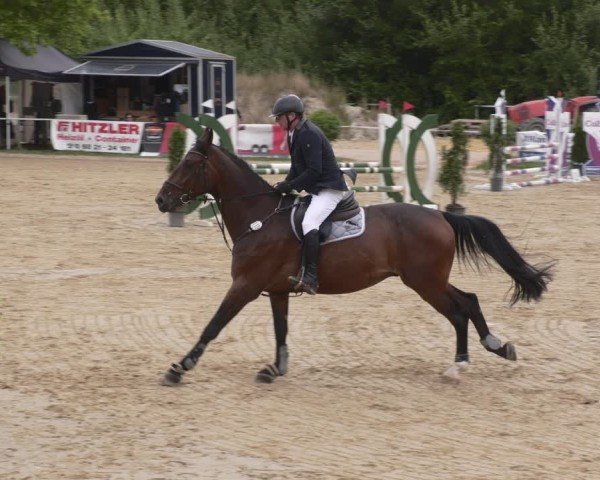 Reitturnier Heiligenwald 2025