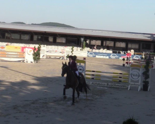 Reitturnier Vlotho-Exter 2025