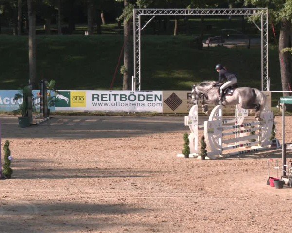 Reitturnier Stadl-Paura 2025