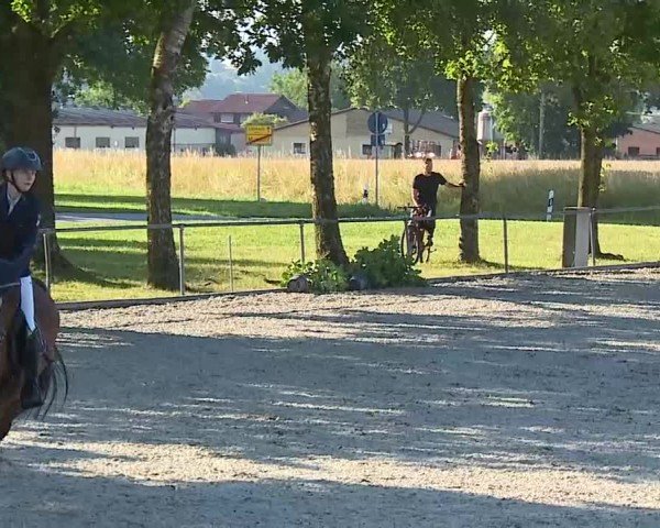 Reitturnier Rot am See- Musdorf 2025