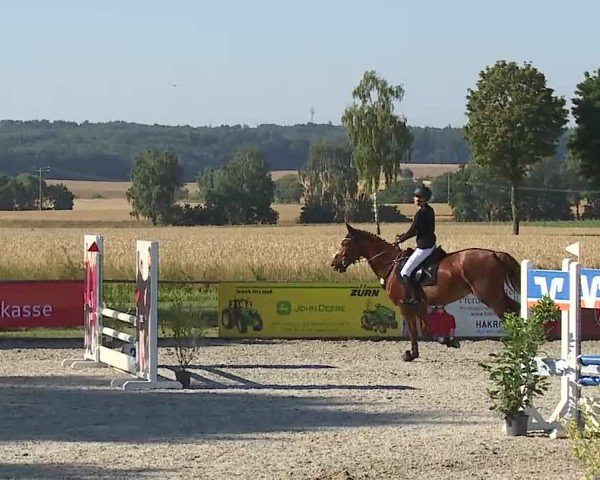 Reitturnier Rot am See- Musdorf 2025
