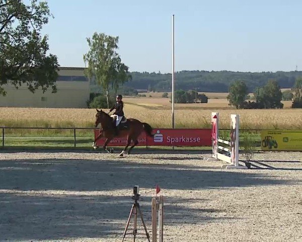 Reitturnier Rot am See- Musdorf 2025