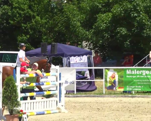 Großes Langenauer Reitturnier 2014