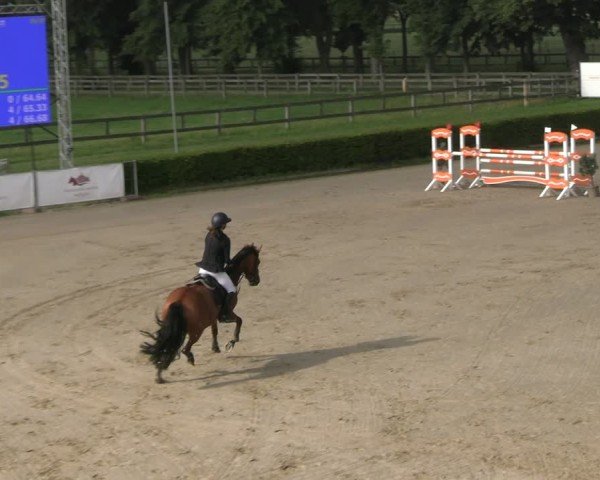 Reitturnier Neustadt/Dosse 2025