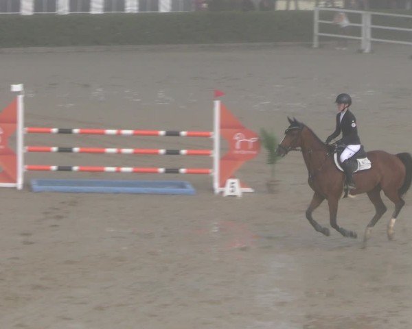Reitturnier Neustadt/Dosse 2025