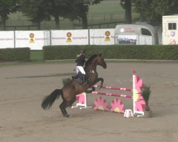 Reitturnier Neustadt/Dosse 2025