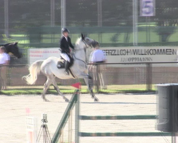 Reitturnier Würzburg/Ufr. 2025