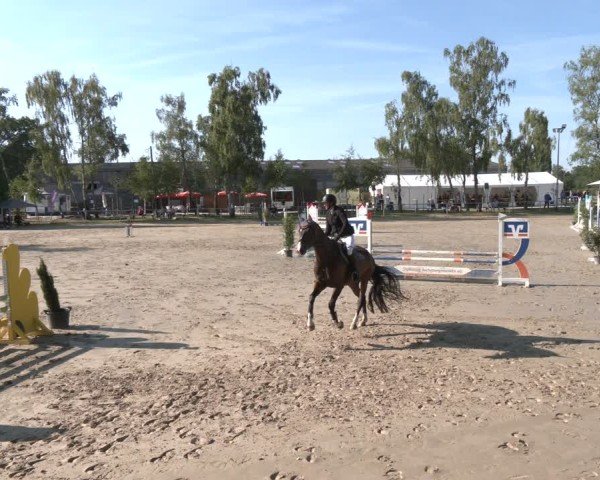 Reitturnier Herbern 2025