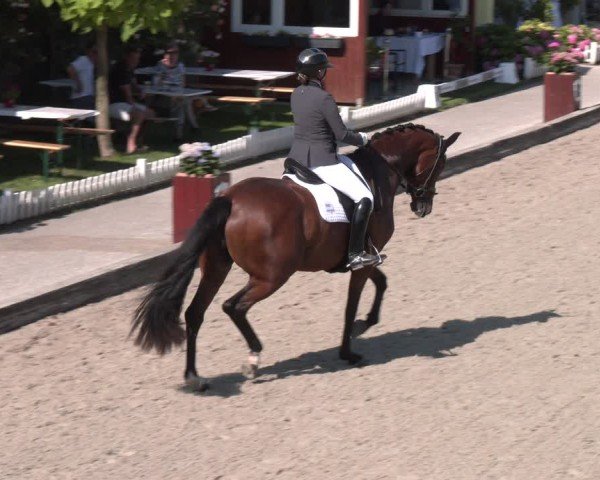 Reitturnier Gerasdorf 2025