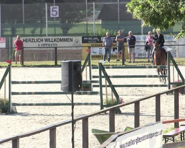 Reitturnier Würzburg/Ufr. 2025