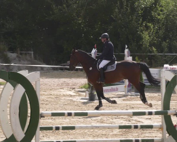 Reitturnier Heiligenwald 2025