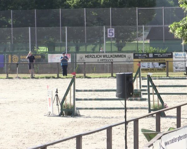 Reitturnier Würzburg/Ufr. 2025