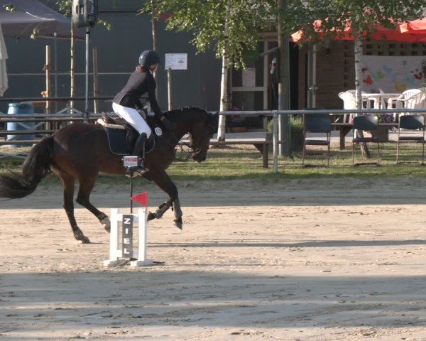 Reitturnier Herbern 2025
