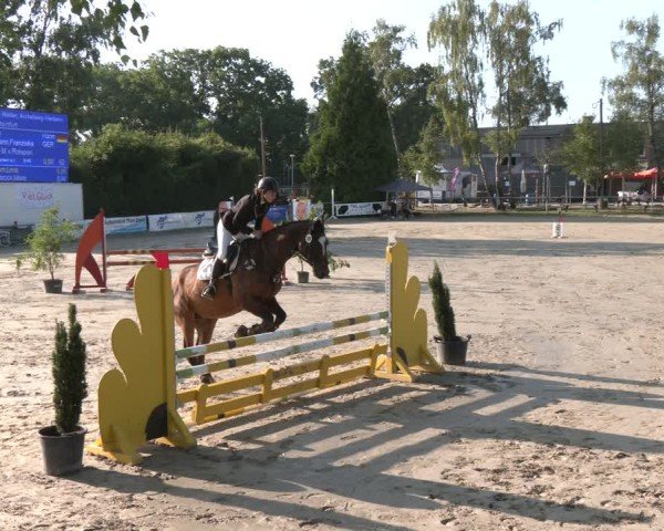 Reitturnier Herbern 2025