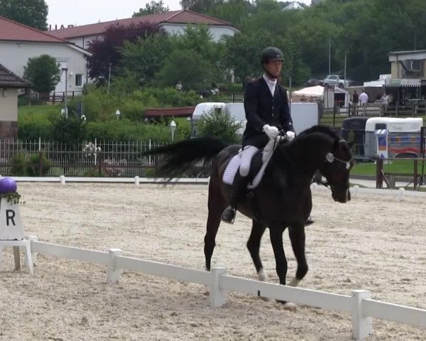 Iserlohner Pfingst-Dressurtage 2014