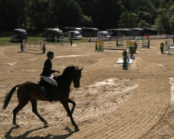 Reitturnier Bad Liebenstein/Sorga 2025