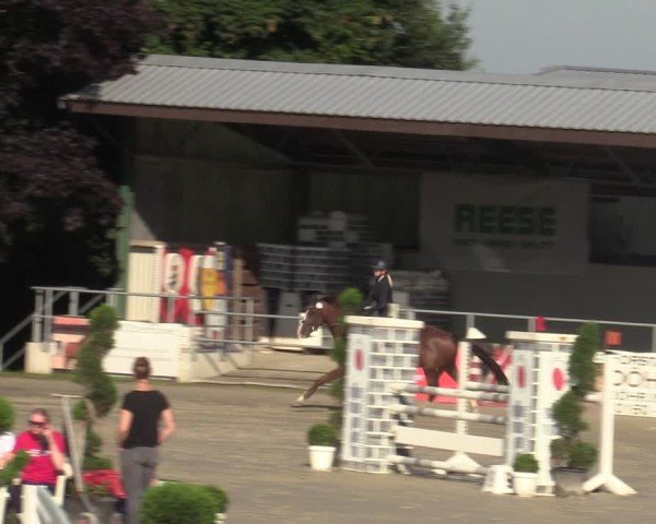 Reitturnier Vlotho-Exter 2025