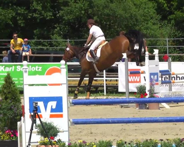 Großes Langenauer Reitturnier 2014