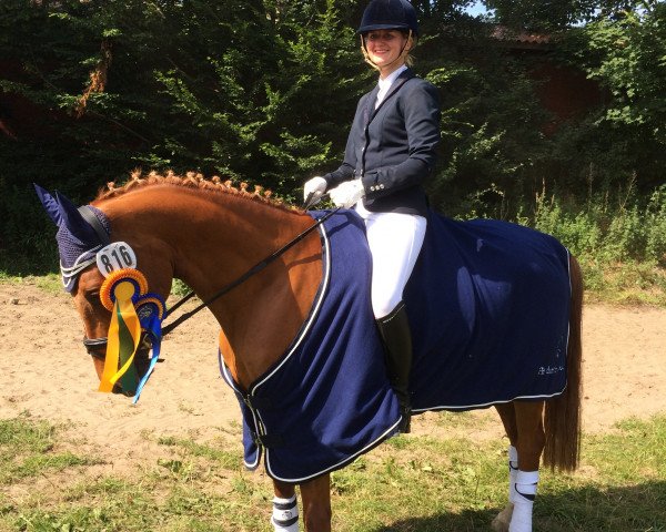 Dressurpferd Mikesch 17 (Deutsches Reitpony, 2009, von Matchello)