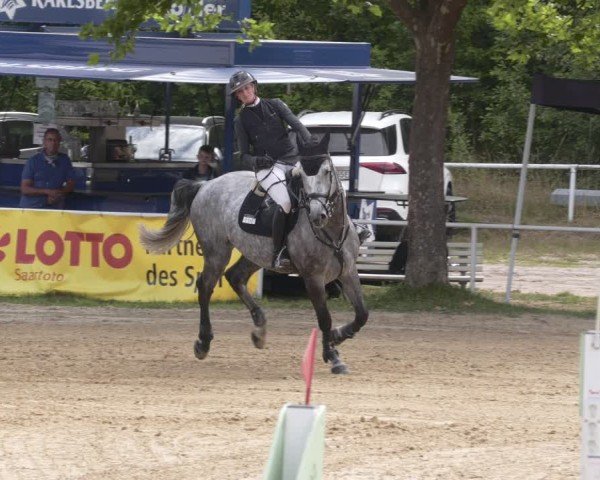 Reitturnier Heiligenwald 2025