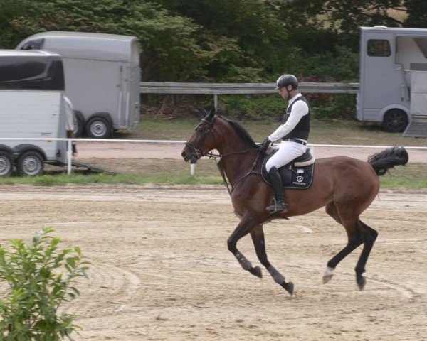 Reitturnier Heiligenwald 2025