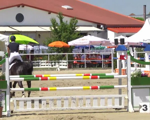 Großes Langenauer Reitturnier 2014