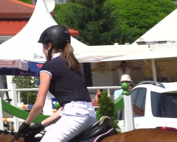 Großes Langenauer Reitturnier 2014