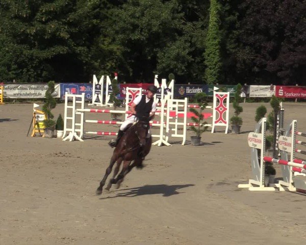 Reitturnier Vlotho-Exter 2025