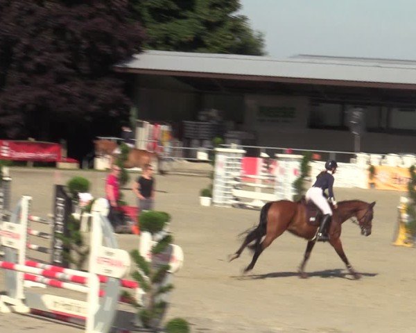 Reitturnier Vlotho-Exter 2025
