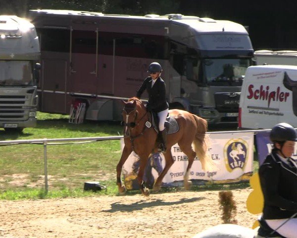 Reitturnier Bad Liebenstein/Sorga 2025