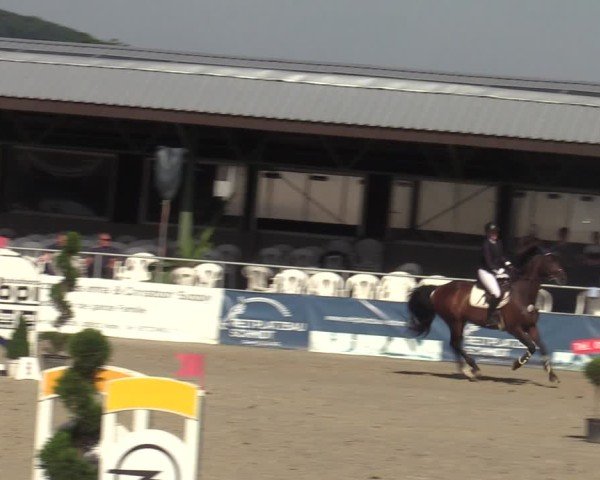 Reitturnier Vlotho-Exter 2025