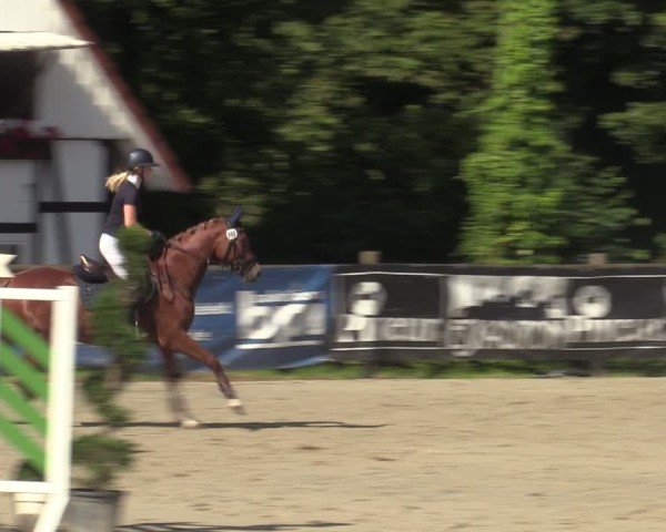 Reitturnier Vlotho-Exter 2025