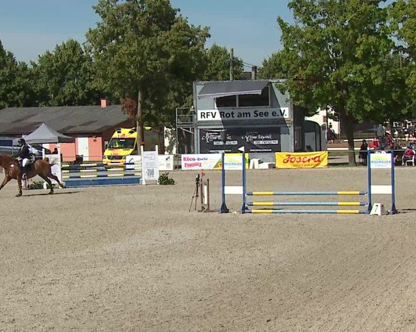 Reitturnier Rot am See- Musdorf 2025
